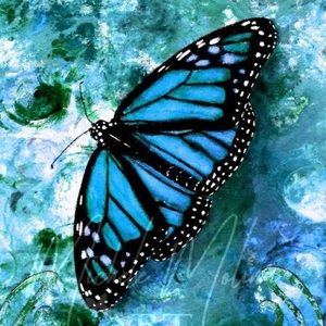 Meet your Posher, Fanni